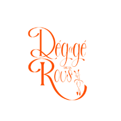 DR_LOGO_NARANJA(4)